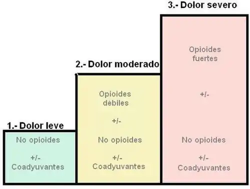 Escalas de dolor 1º Escalón (dolor leve): no opioides +/- coadyuvantes 2º Escalón (dolor moderado): opioides débiles +/- no opioides +/- coadyuvantes 3º Escalón (dolor severo): opioides fuertes +/- no opioides +/- coadyuvantes