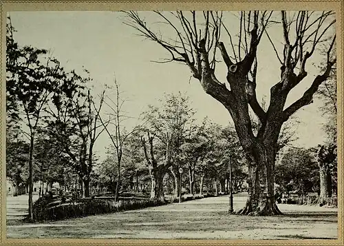Vista de la Taconera en la segunda mitad del siglo XIX