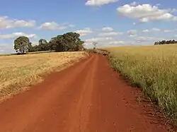 Ejemplo de suelo Terra Roxa común en el estado de Mato Grosso del Sur.