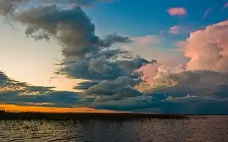 Los esteros del Iberá, en Corrientes, abarcan entre 15 000 y 25 000 km² y son el segundo humedal más grande del mundo.