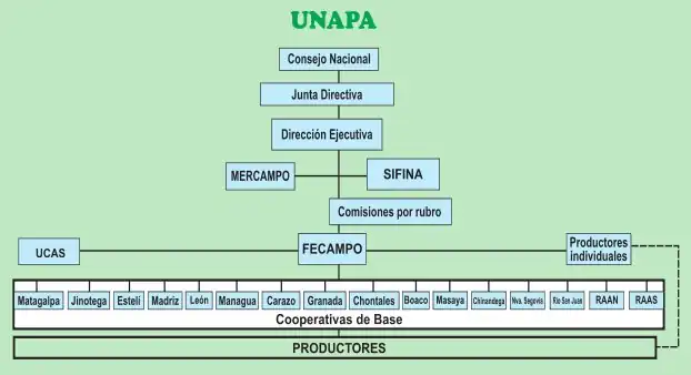 Estructura de la UNAPA.