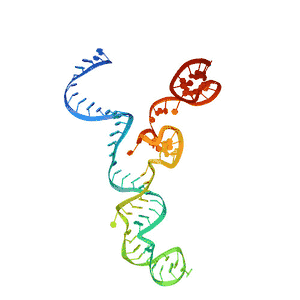 Estructura tridimensional del ARN guía (híbrido entre el ARNtracr y el ARNcr)
