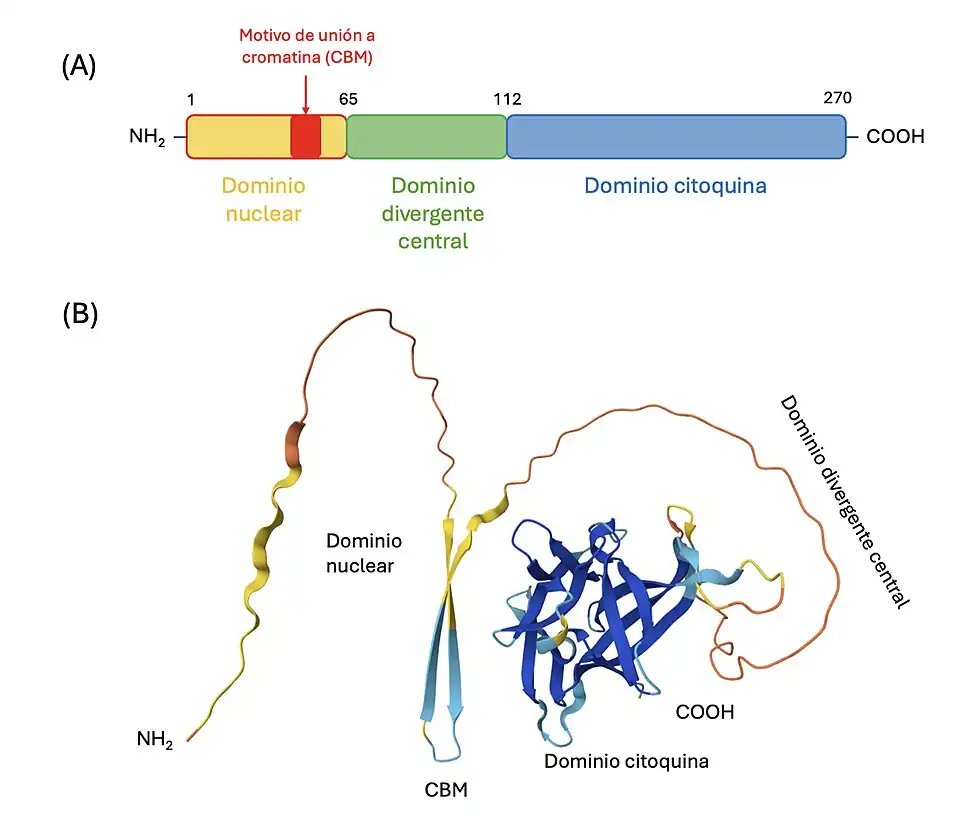 Estructura de la Interleucina 33.