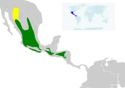 Distribución geográfica del colibrí magnífico