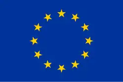 Bandera incorrecta. Las estrellas deben dirigir una punta hacia arriba.[57]​