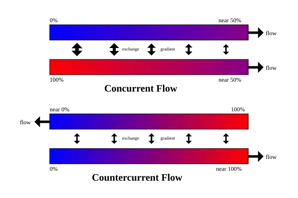 Intercambio en equicorriente y contracorriente.