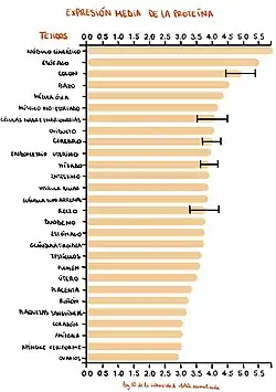 Tiene gran importancia clínica ya que a mayor expresión de la proteína en ciertos tejidos, mayor es su implicación en diferentes enfermedades