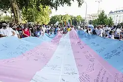 Se observa a decenas de personas llevando sujetando la bandera por las calles de Madrid en medio de la manifestación.