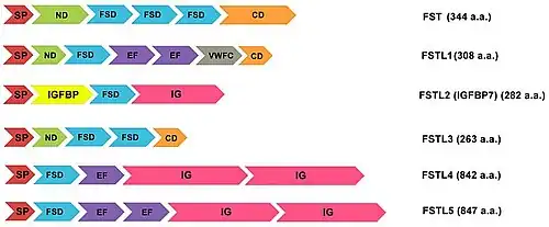 Comparación de la estructura de FST y de las FSTL.
