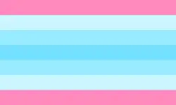 Transmasculino/Hombre trans