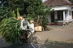 Campesino en una bicicleta roadster utilizada para la carga en Indonesia.