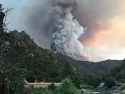 El fuego Ferguson cerca del Parque Nacional de Yosemite el 14 de julio de 2018.