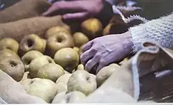 Feria de Santa Lucía en Zumárraga y Urrechu