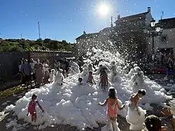 Fiesta de la espuma. Renales