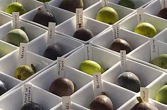 Diferentes variedades de higos.