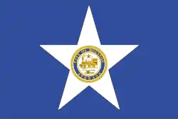 Bandera de la Ciudad de Houston