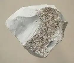 Raspador de pedernal