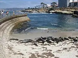 La Piscina Natural de los Niños, La Jolla