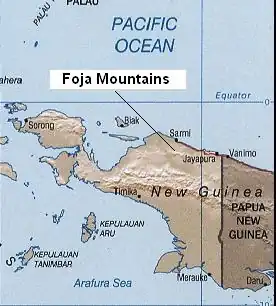 Ubicación de las Montañas Foja en Papúa (Indonesia), uno de los lugares donde habita el Dendrolagus pulcherrimus