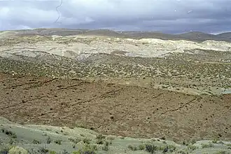 La Formación Agrio en Agua de la Mula