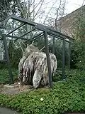 Árbol fósil en el "Botanischer Garten Dresden".