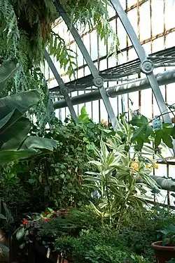 Interior del invernadero