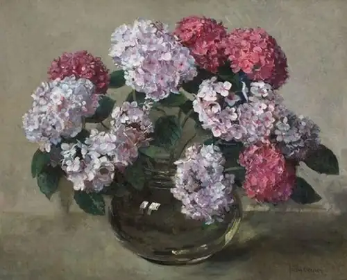 Las hortensias en Florero de Vidrio