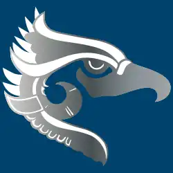 Fuerza Aérea Piloto Aviador