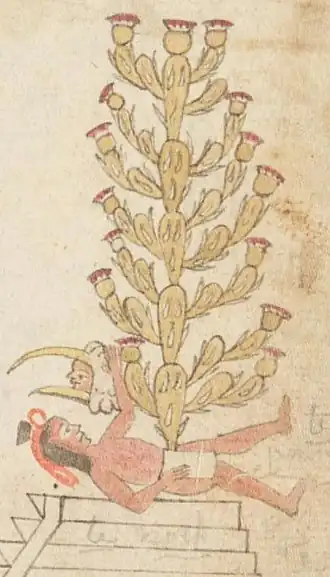 Fundación de Tenochtitlan en el códice Azcatitlan f.18, el nopal surge del príncipe Copil de acuerdo a Huitzilopochtli