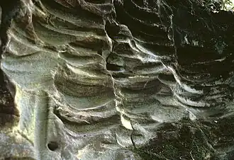 Detalle de los surcos en Gantofta