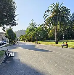 Palmeral de la calle Alfonso Argüelles