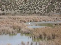 Reserva del Regajal-Mar de Ontígola