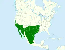 Mapa de la distribución del correcaminos norteño.