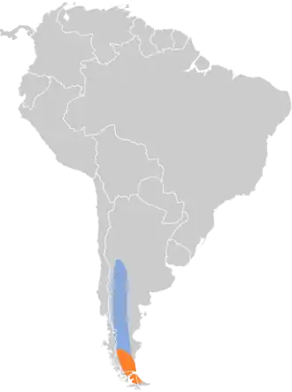 Distribución geográfica del minero austral.
