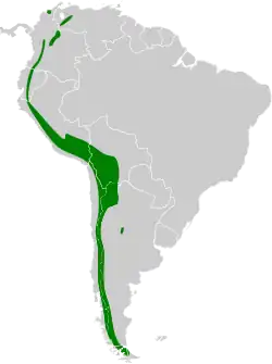 Distribución geográfica del yal plomizo.