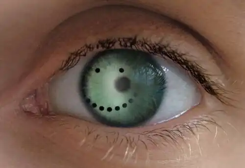 Gestalt en el ojo, montaje digital, 2011.