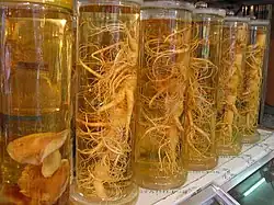 Raíces de ginseng (Panax ginseng)