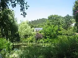 Vista desde el estanque.
