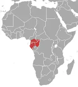 Distribución del poto dorado