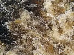 El agua de color "té claro" del río Gordon