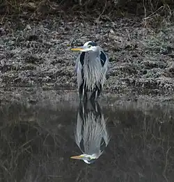 En Arkansas, EE. UU.