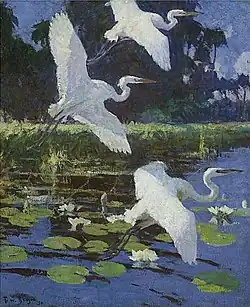 Garzas Blancas 1923