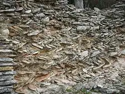 Muro en la villa romana de las Grotte di Catullo (Cuevas de Catulo), en Sirmione (Lombardía)