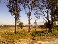 Guadalupe Acuitlapilco