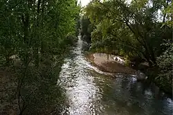 Río Guadalquivir - Tramo Superior