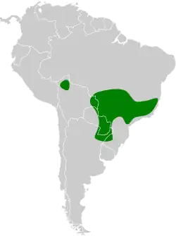 Distribución geográfica del yetapá grande.