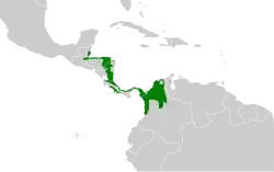 Distribución geográfica del hormiguero calvo.