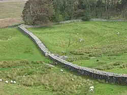 Sección del Muro de Adriano. Sale de la esquina noroeste de Housesteads en dirección noroeste.