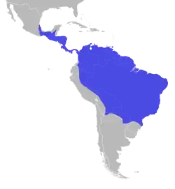 Distribución de la arpía mayor.