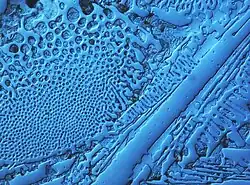 Fundición dura con cristales de Ledeburita.
